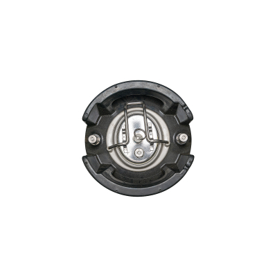 Кег Корнелиус 19л. Ball Lock  в Самаре